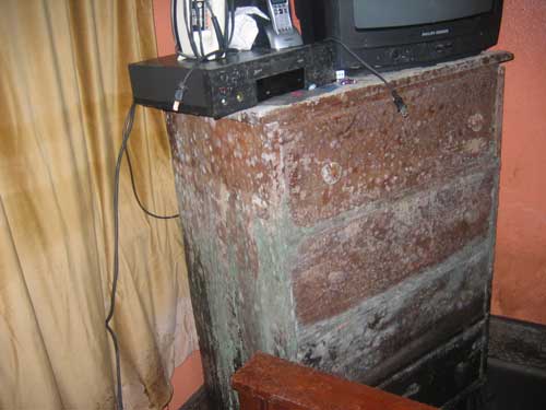 Imagine this mold after an even longer period of time! 375