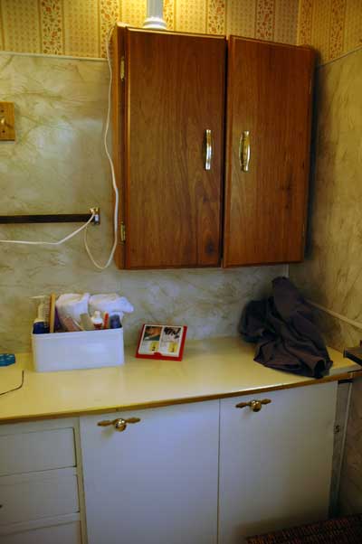 I've saved these cabinets for some future use.