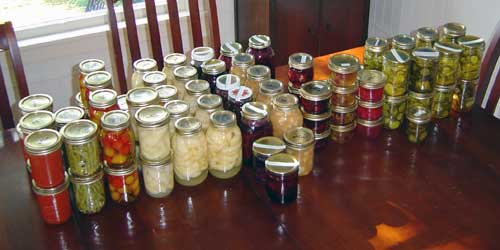 Most of Kris' canning, all in one place
