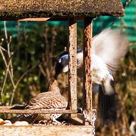 Out! Out! Damn flicker...