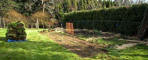 We rented a sodcutter to expand the garden