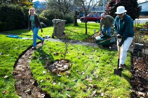 Kris carries sod, Mike cuts it with the sod-cutter, Rhonda spades it into smaller pieces, and I take photographs