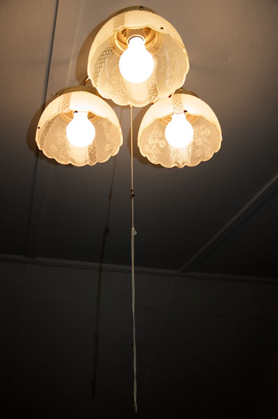 a wide shot of the entire light fixture, ladybugs and all