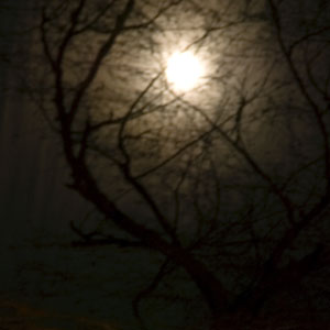This reminds me more of Halloween than of Christmas.