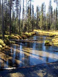 The aptly-named Silent Creek