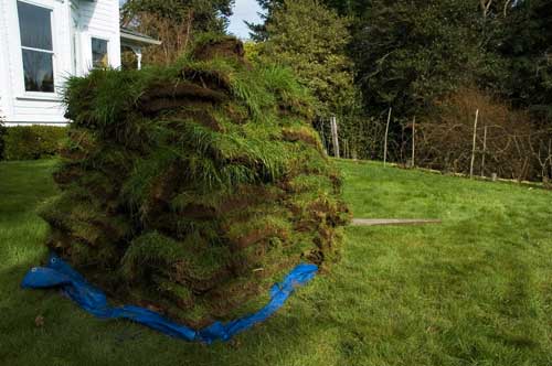 Two-hundred fifty square feet of sod
