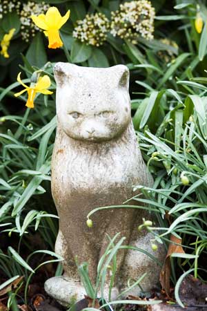 Our secret cat. He is the gatekeeper to our home.