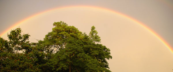 This was the climax to the weekend -- a rainbow during a thunderstorm on Sunday night